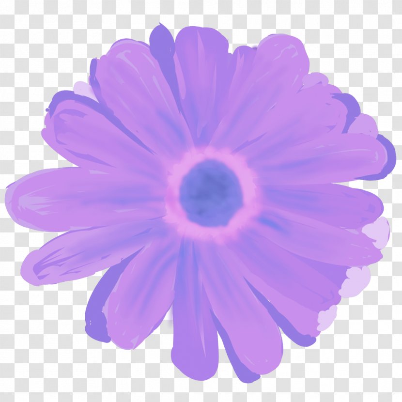 Transvaal Daisy - Flower - Duku Transparent PNG