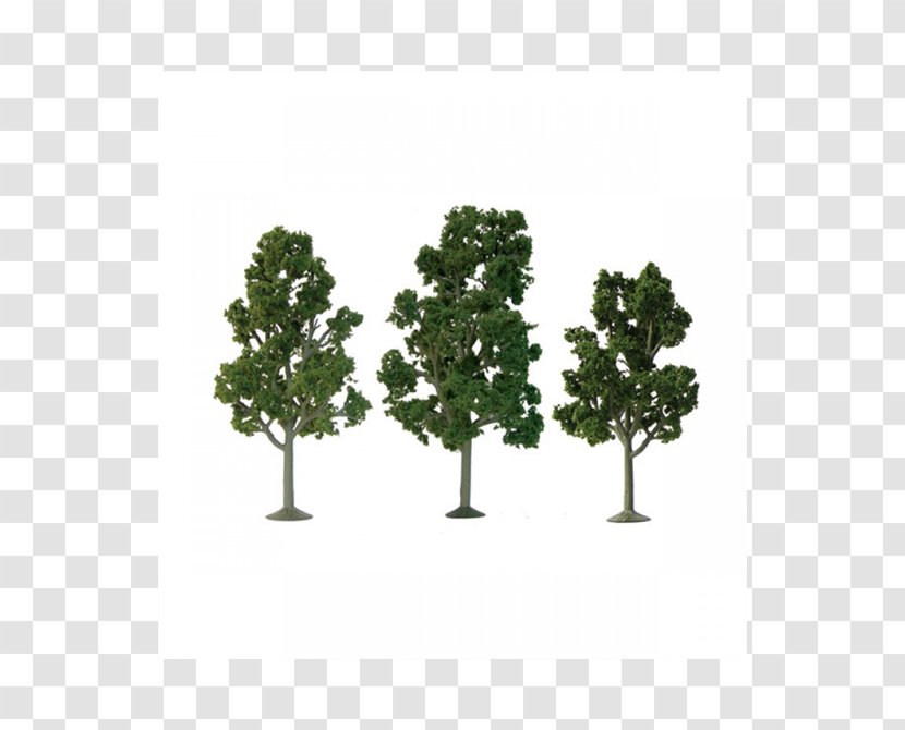 American Sycamore HO Scale N Tree London Plane - Oak Transparent PNG