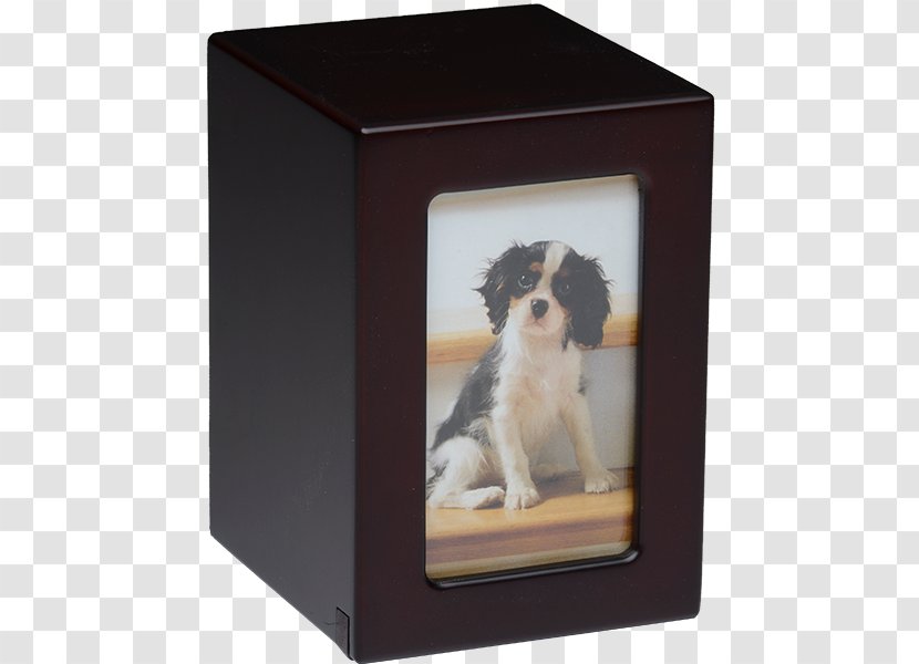 Dog Urn Picture Frames Pet Paw - Animal Loss Transparent PNG