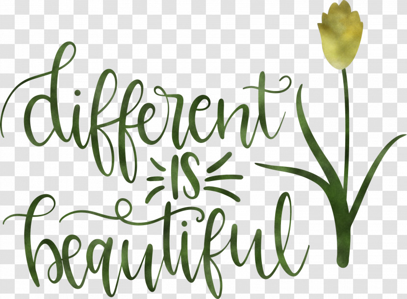 Different Is Beautiful Womens Day Transparent PNG