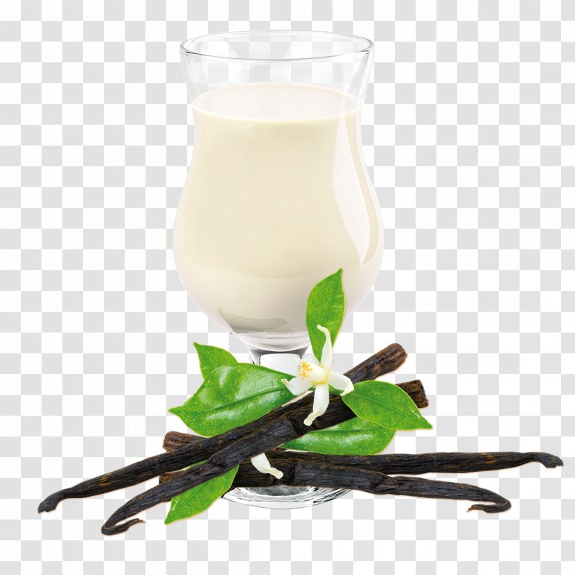 Drink Mix Milkshake Flavor Meal Replacement Vanilla - Chang Shuangbing Transparent PNG