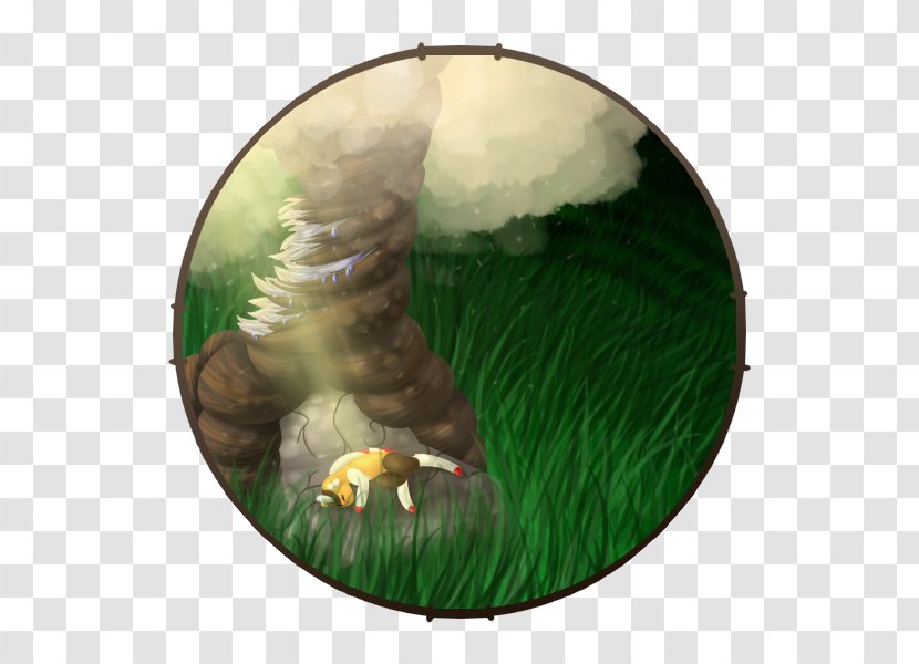 Eagle Fauna Beak Transparent PNG