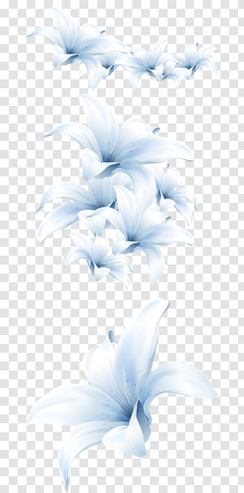 Flower Madonna Lily Petal Image - Plants Transparent PNG