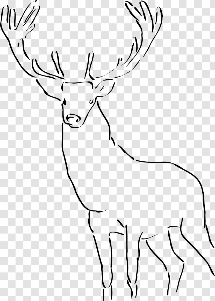 Deer Drawing Clip Art - Cattle Like Mammal - Reindeer Transparent PNG