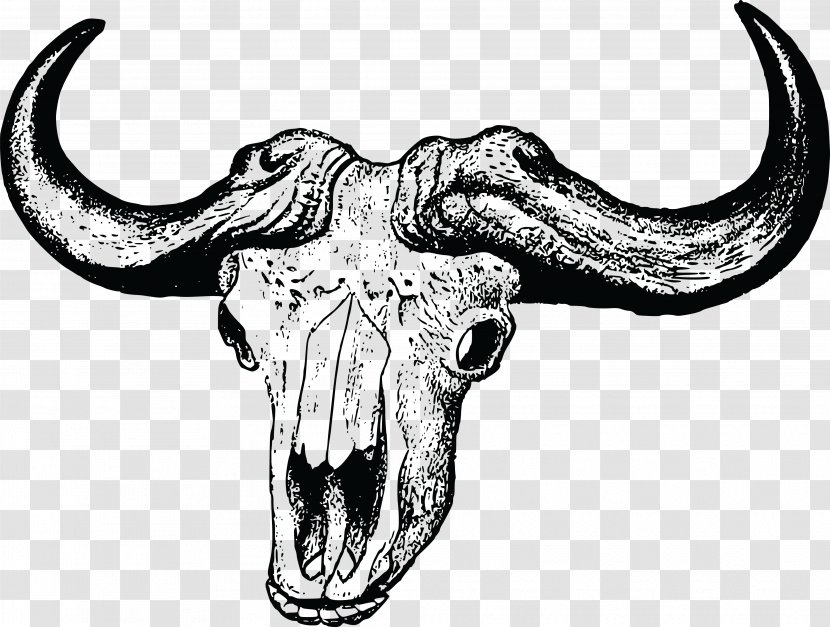 Skull African Buffalo Clip Art - Monochrome Photography - Ox Transparent PNG