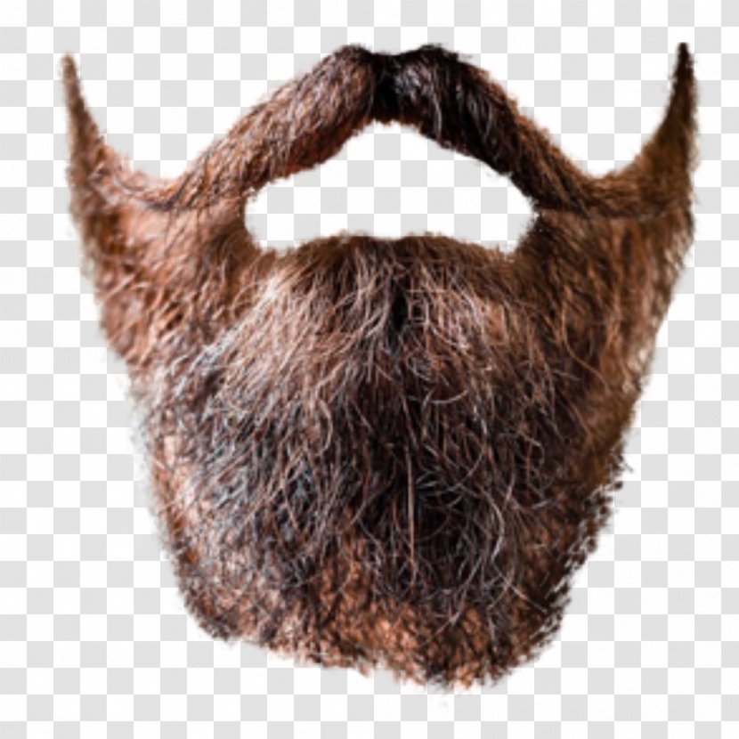 World Beard And Moustache Championships Stock Photography Close-up Transparent PNG