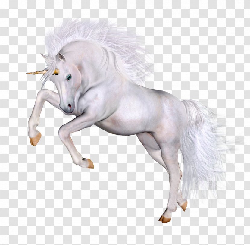 Horse Unicorn - Bit - Unicornio Transparent PNG
