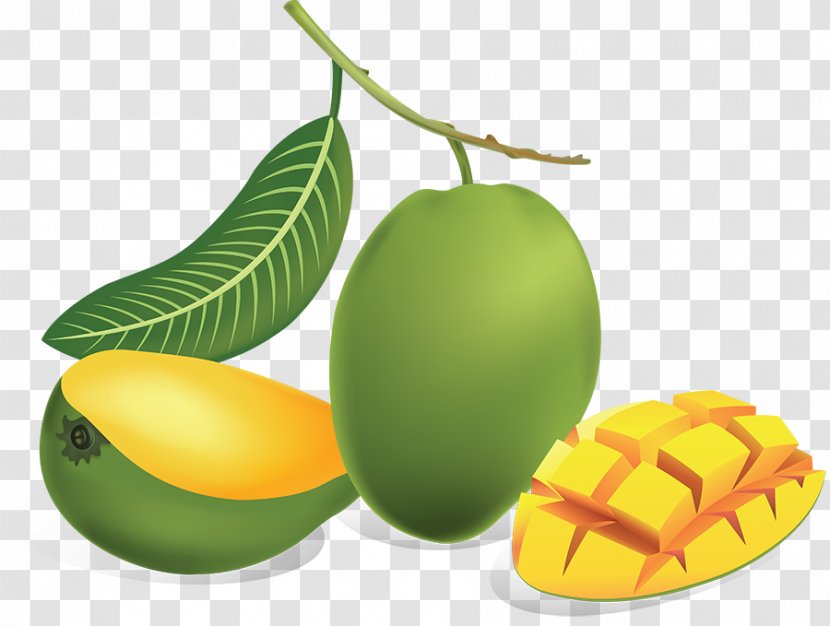 Juice Mango Fruit Drawing - Natural Foods - Green Transparent PNG