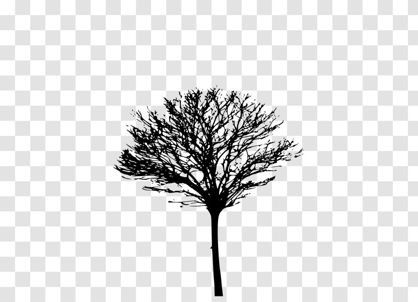Tree Trunk Drawing - Plane Transparent PNG