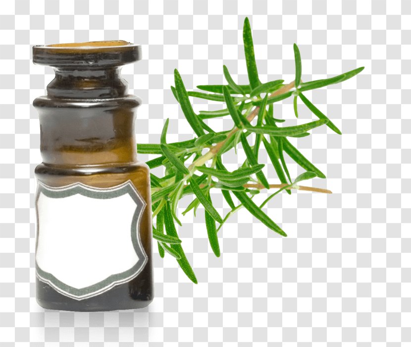 Essential Oil Rosemary Peppermint Verbenone Transparent PNG