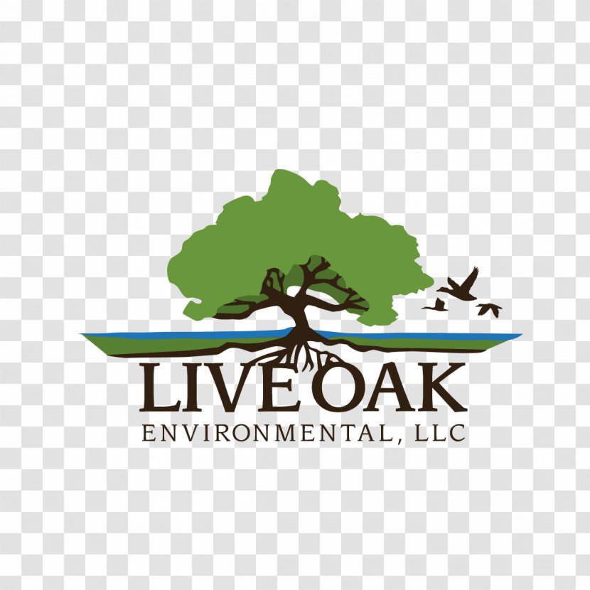 Live Oak Environmental Commercial Waste Management Landfill - Business - Industry Transparent PNG