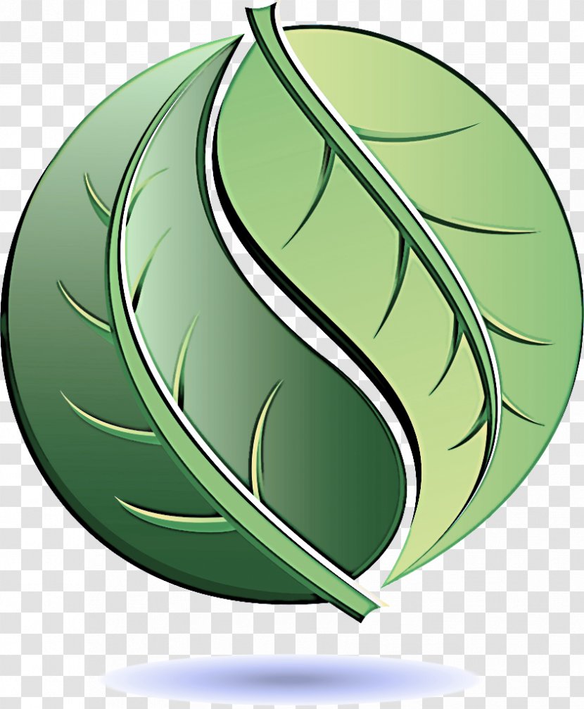 Green Leaf Tree Plant Logo - Symbol Transparent PNG