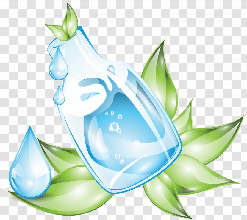 Glass Bottle Royalty-free - Leaf - Water Drops Transparent PNG