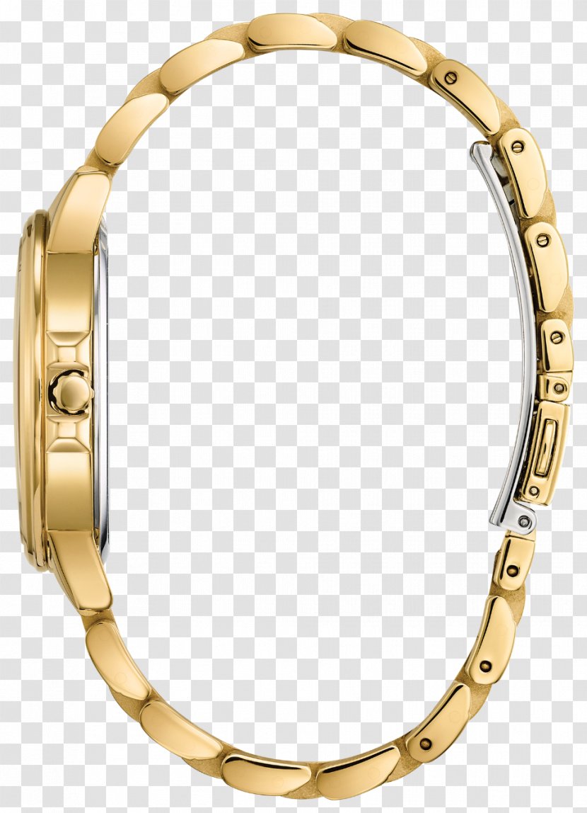 Nixon Watch Eco-Drive Guess Citizen Holdings - Gold Plating Transparent PNG