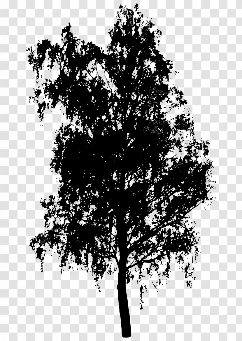 Silhouette Shrub Tree - Banyan Transparent PNG