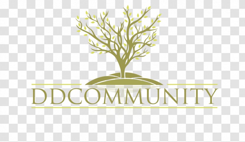 DDCommunity Desperate Dependency: Finding Christ Relevant To Every Area Of Life Christianity Minister Christian Ministry - Grass Transparent PNG