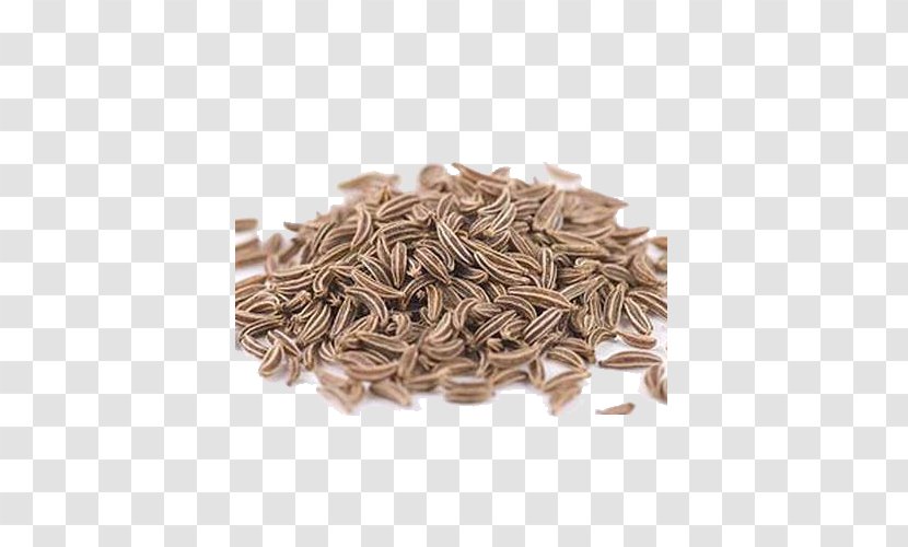 Caraway Spice Fennel Flower Seed Cumin - Sunflower - Ingredient Transparent PNG