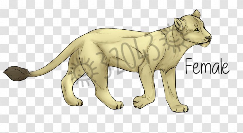 Lion Cat Dog Canidae Terrestrial Animal - Character Transparent PNG