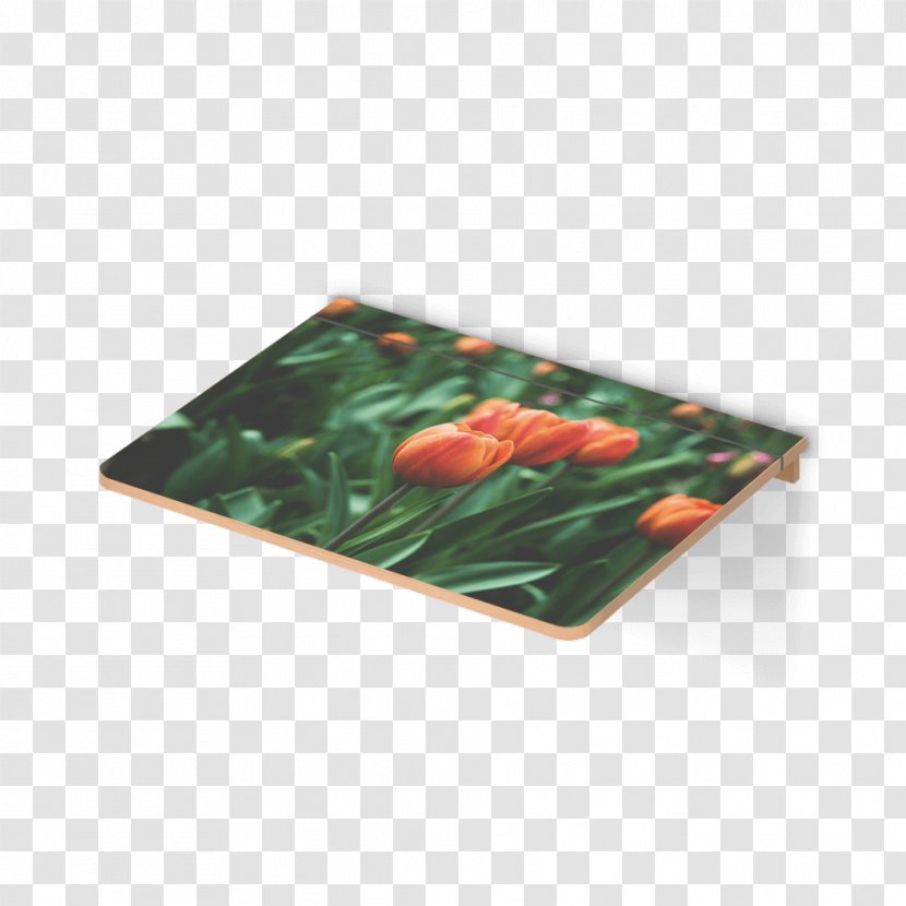 Table Norden Place Mats - Tulip Material Transparent PNG
