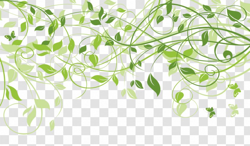 Leaf Pattern Vector - Wallpaper - Green Transparent PNG