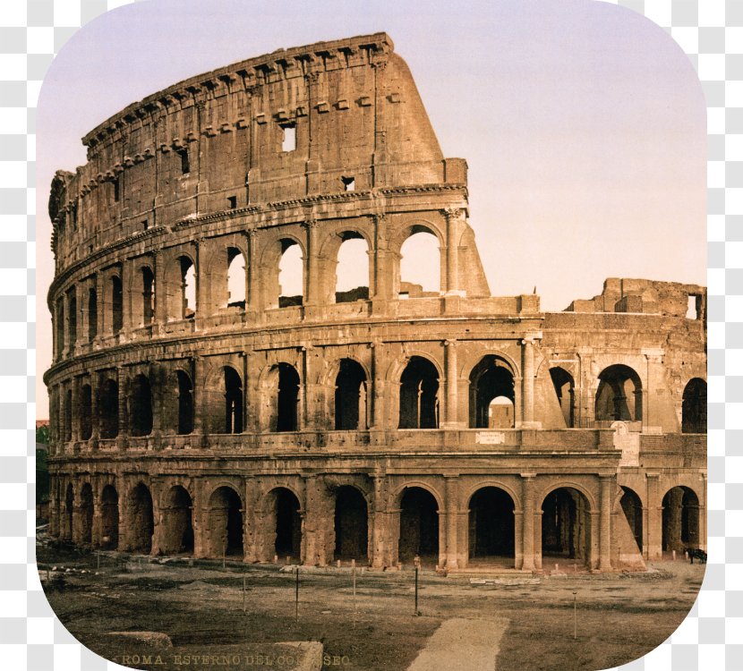 Colosseum Palatine Hill Roman Forum Spanish Steps Meta Sudans - Building Transparent PNG