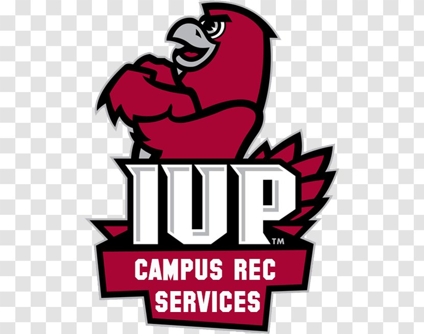 Indiana University Of Pennsylvania IUP Crimson Hawks Football Men's Basketball Edinboro - Heart - Outdoors Agencies Transparent PNG