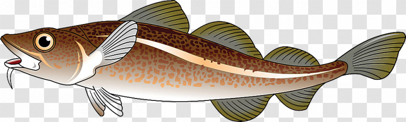 Fish Fish Cod Transparent PNG