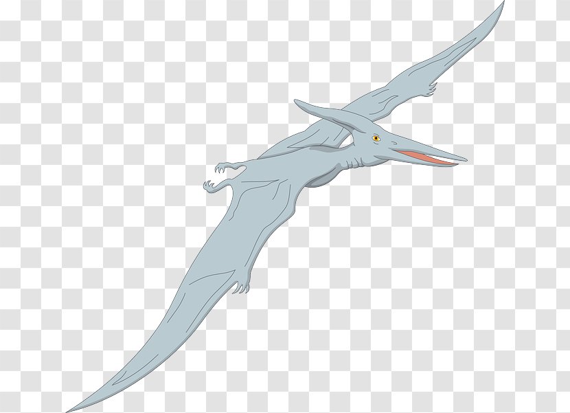 Quetzalcoatlus Pterosaurs Pterodactyls Pteranodon Velociraptor - Wing - Dinosaur Transparent PNG
