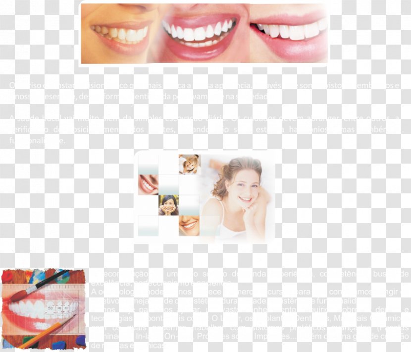Dentistry Human Tooth Health Beauty.m - Eyelash Transparent PNG