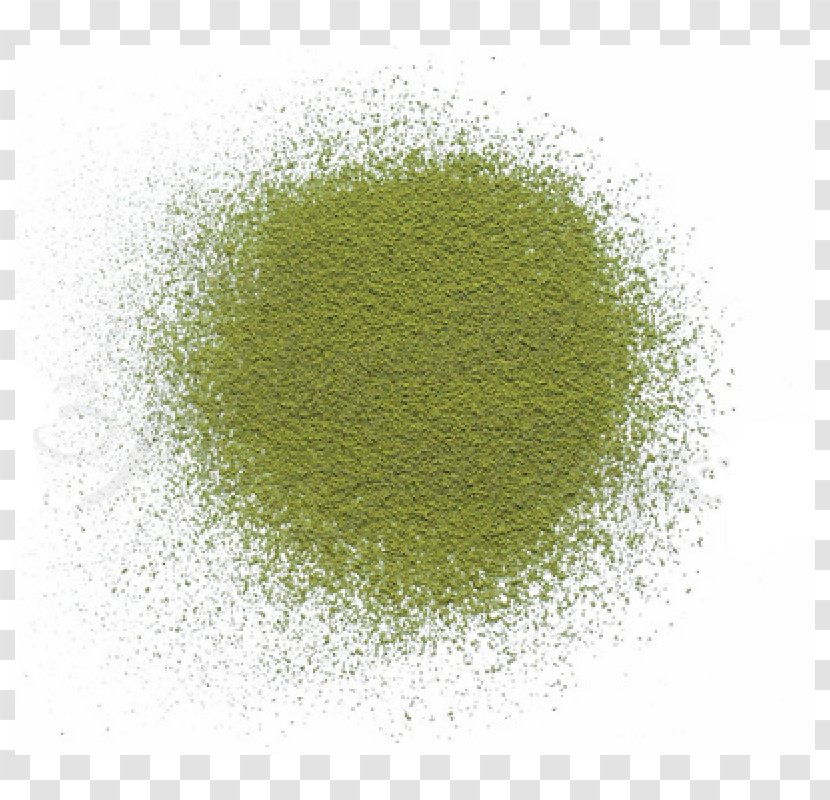 Matcha Green Tea White Oolong - Chun Mee Transparent PNG