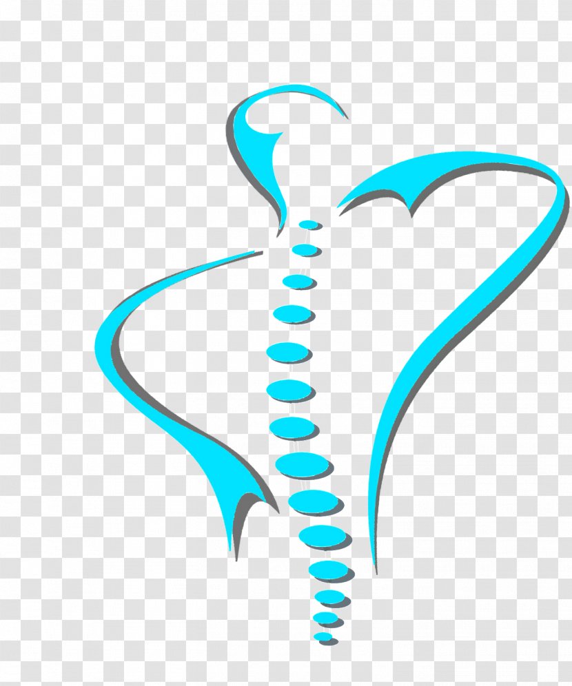 Physical Therapy Vertebral Column Chiropractor Chiropractic - Sports Injury - Spinal Disease Transparent PNG