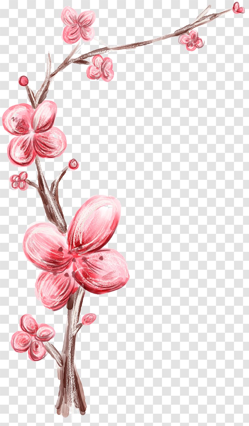 Clip Art - Flora - Flowering Plant Transparent PNG