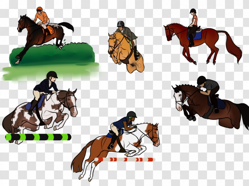 Hunt Seat Horse Stallion Rein Equestrian - Show Shots Fired Transparent PNG