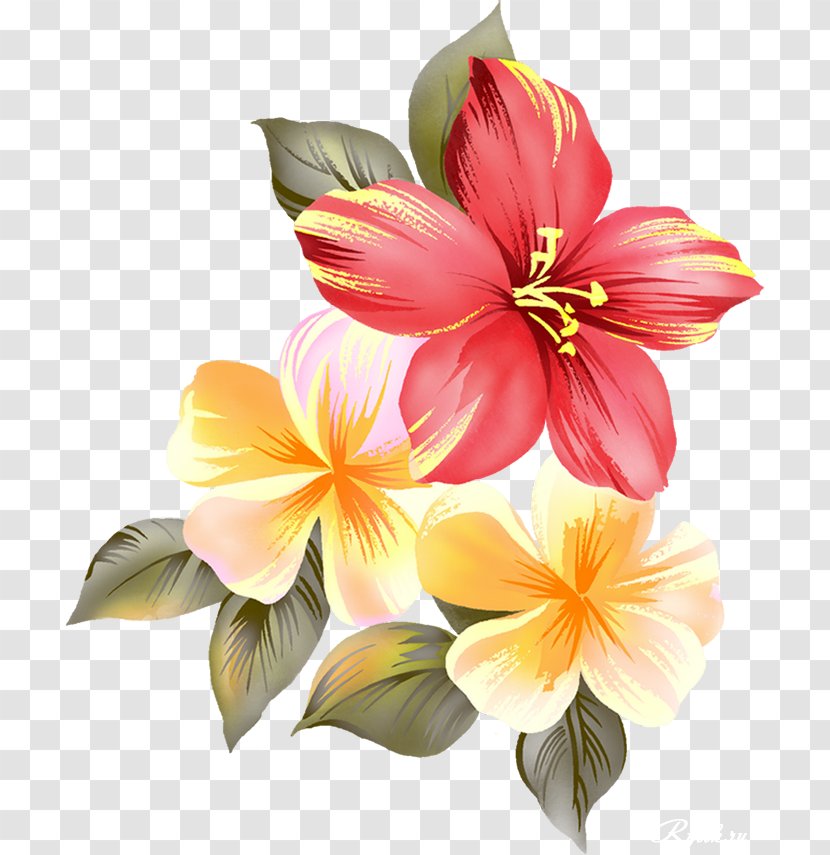Cut Flowers Floral Design Clip Art - гибискус Transparent PNG