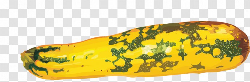 Pumpkin Zucchini Cucurbita - Vegetable - An Old Cucumber Transparent PNG