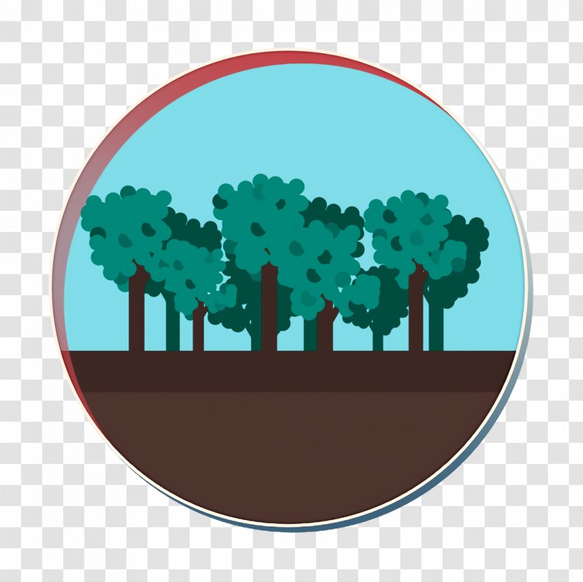 Forest Icon Jungle Tree - Logo - Broccoli Transparent PNG