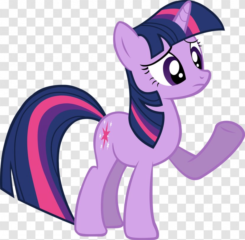 Twilight Sparkle Pony Rarity Princess Cadance Rainbow Dash - Cartoon Transparent PNG