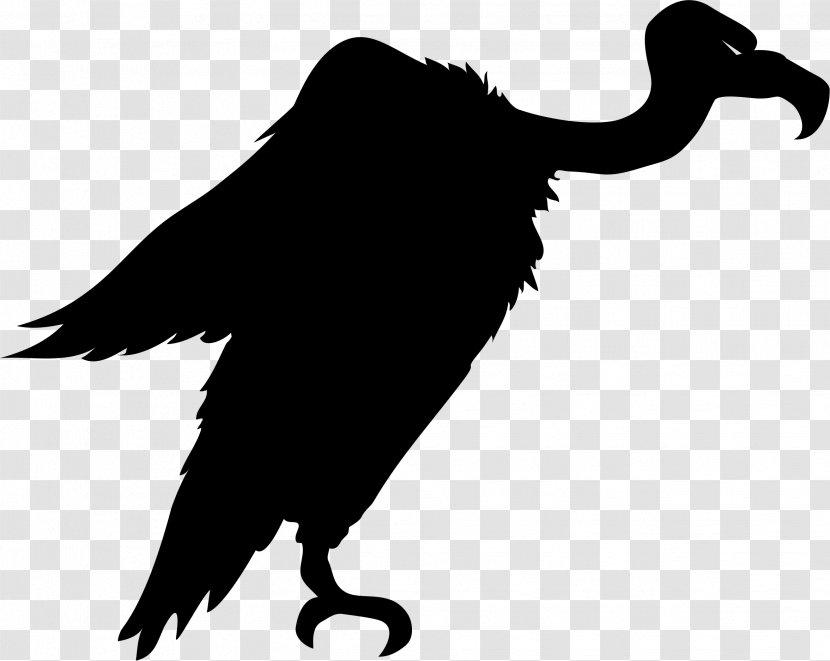 Turkey Vulture Bird Clip Art - Feather - Animal Silhouettes Transparent PNG