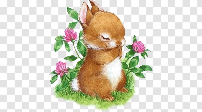 Easter Bunny European Rabbit Hare Becky - Cat Like Mammal Transparent PNG