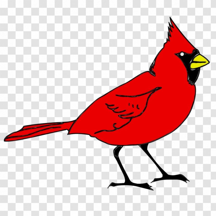 Bird Northern Cardinal Beak Clip Art - Perching Songbird Transparent PNG