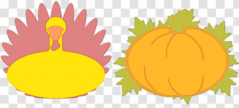 Orange - Yellow - Pumpkin Plant Transparent PNG