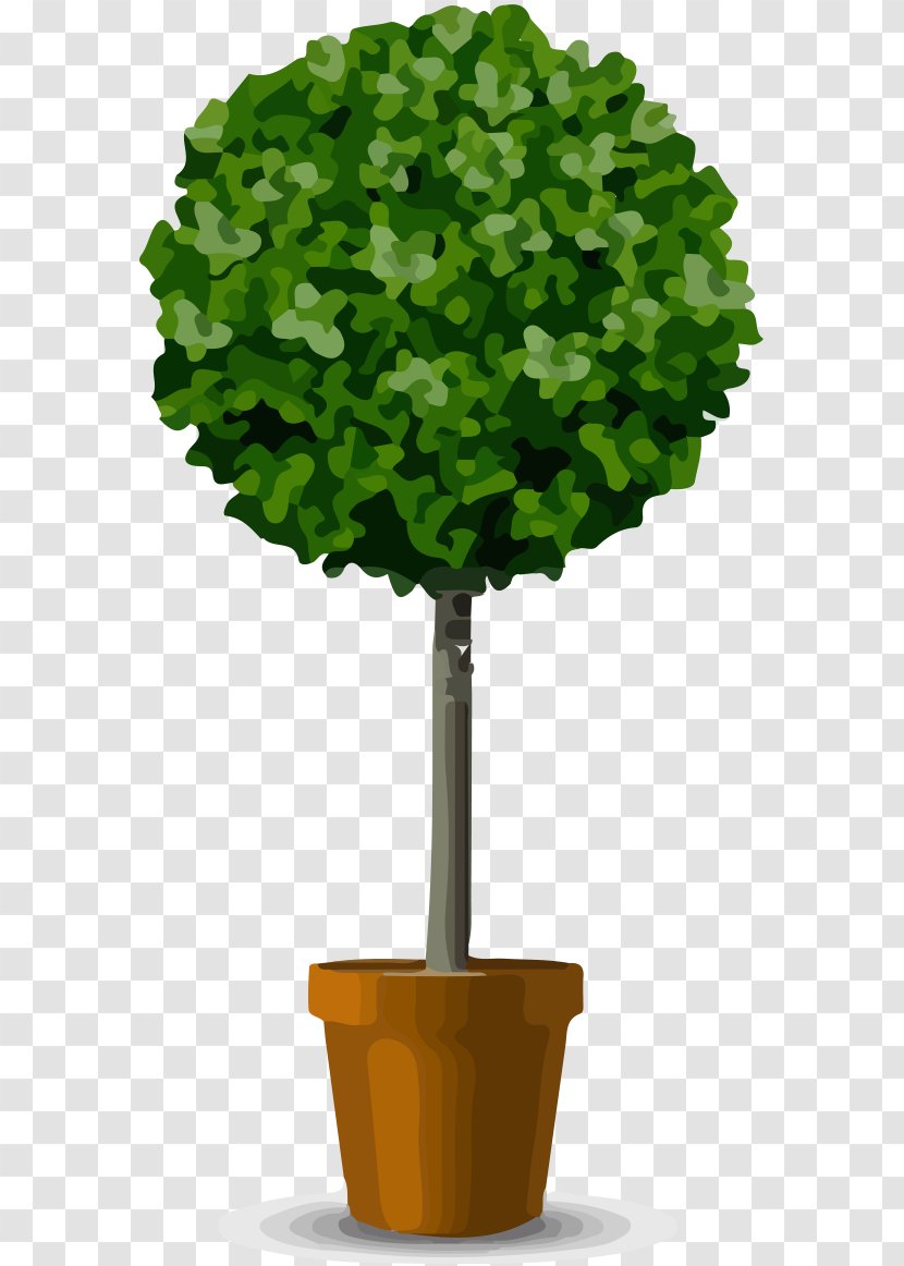 Flowerpot Shrub Tree Pruning - Grass Transparent PNG