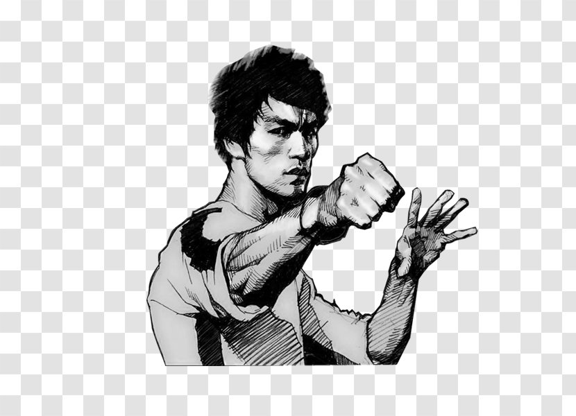 Dragon: The Bruce Lee Story Tao Of Jeet Kune Do Drawing - Kung Fu - Hand-painted Transparent PNG