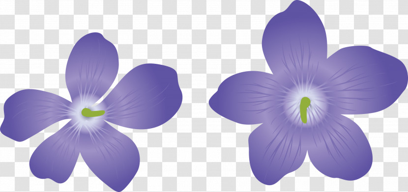 Violet Flower Transparent PNG