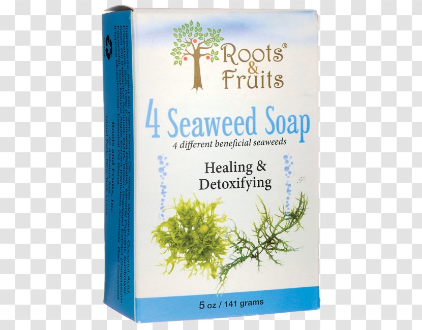 Seaweed Shower Gel Bathing Soap Herb - Grass Transparent PNG