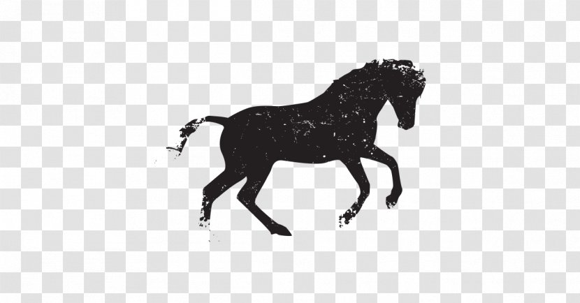 Horse Stallion Pony - Mane - Wild Vector Transparent PNG