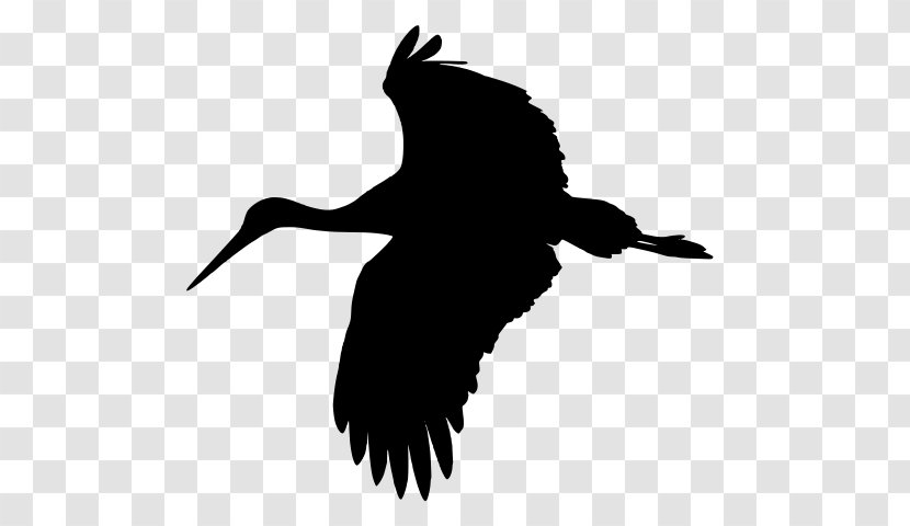 Bird Stork Clip Art - Feather - Crane In Chinese Mythology Transparent PNG