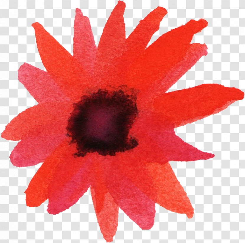Watercolor Painting Flower - Flowering Plant Transparent PNG