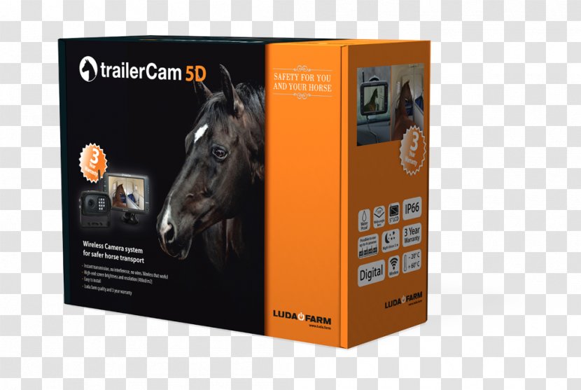 Canon EOS 5D Horse Trailer Camera Surveillance - Wireless Security Transparent PNG