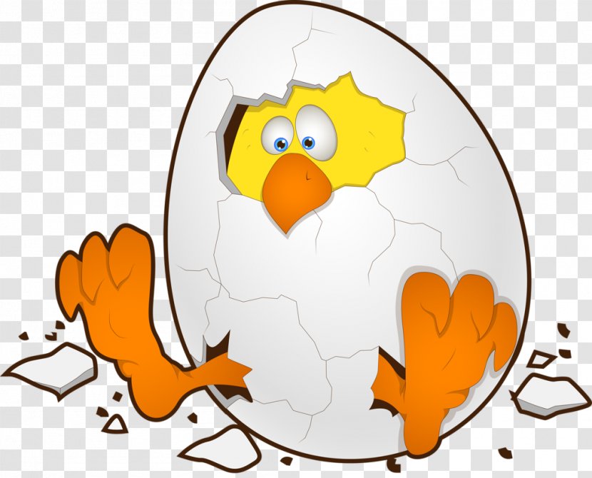 Chicken Easter Egg Cartoon - Beak Transparent PNG